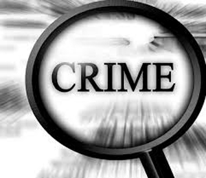 crime 2